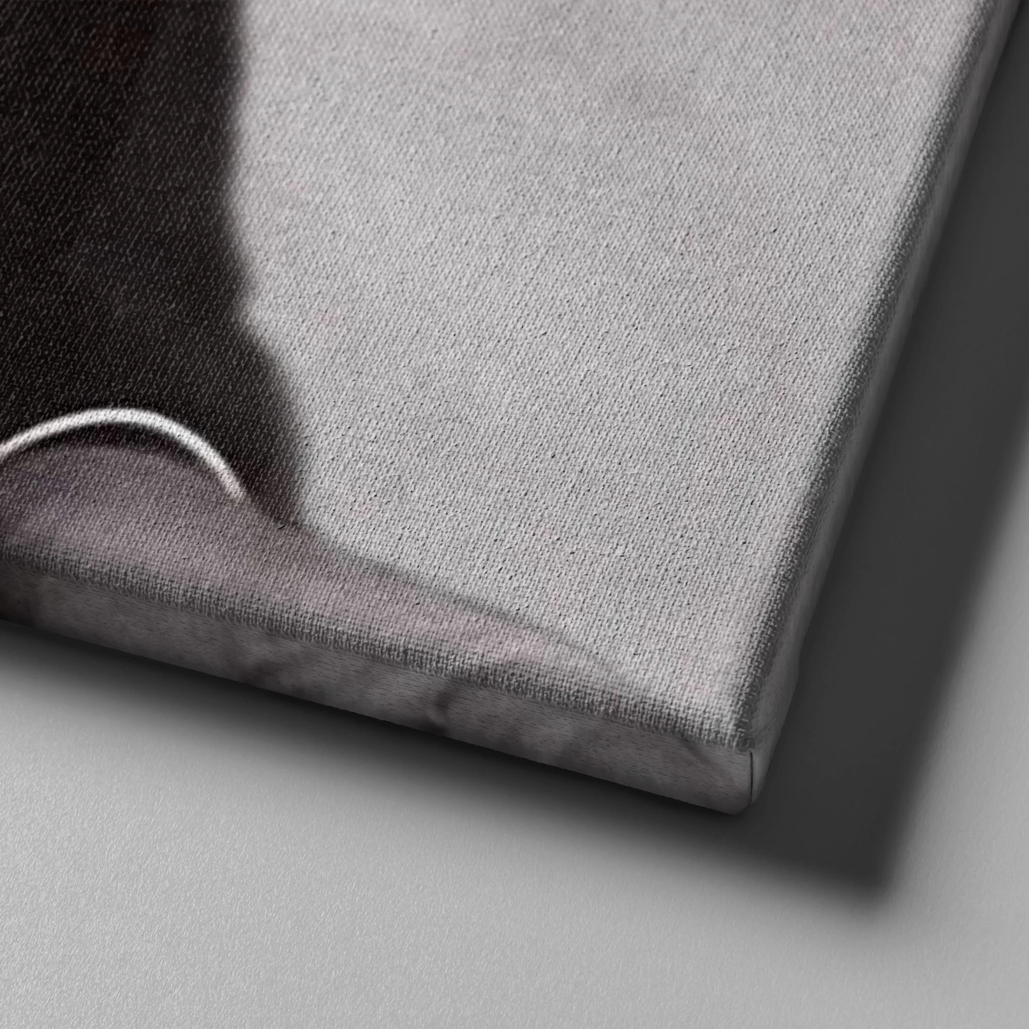 Gazi Mustafa Kemal Atatürk Kanvas Tablo